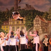 Godesberger Stadtsoldaten (29.01.13)